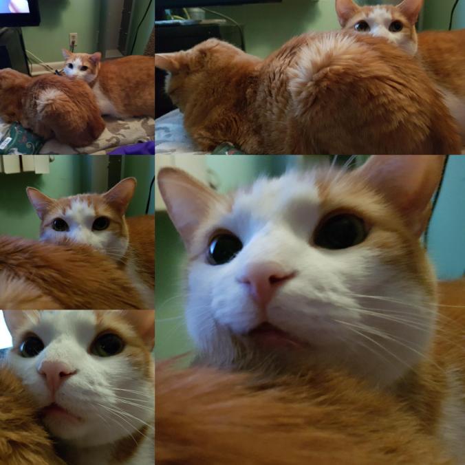 34849148_10160403032350371_6819133908165066752_n