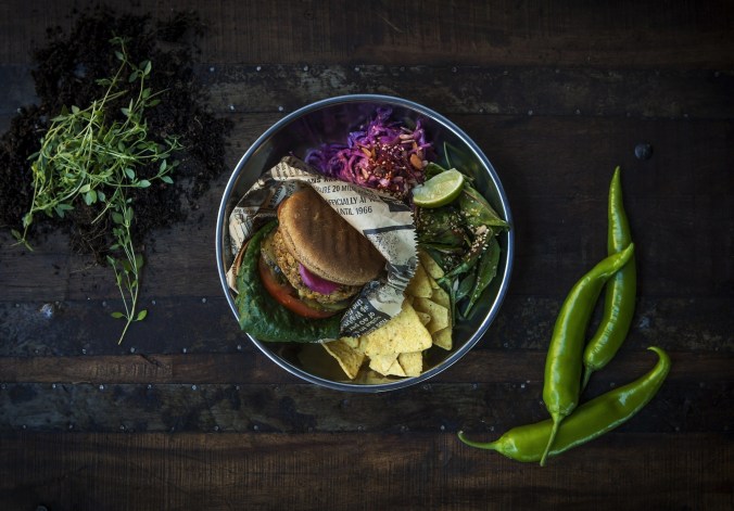 tgq-burgare-k-di-leva_50