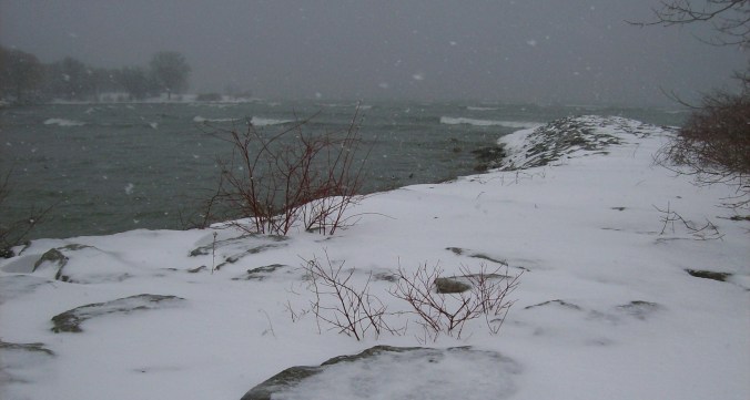 winter is coming n.p,ryan(c)