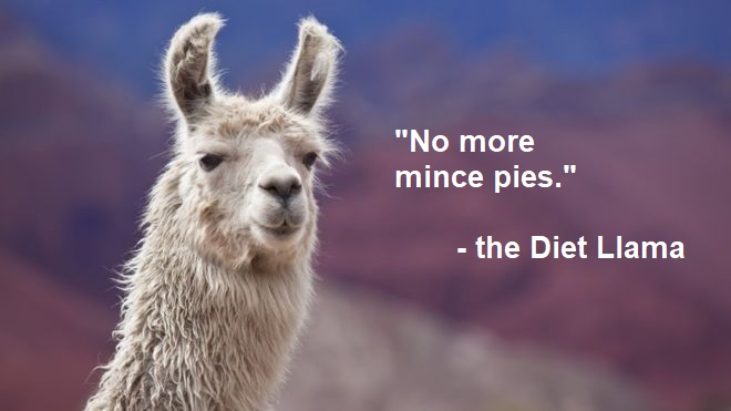 dietllama4