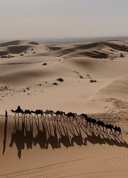 connor-scheidler-9OT34cGVpy8-unsplash