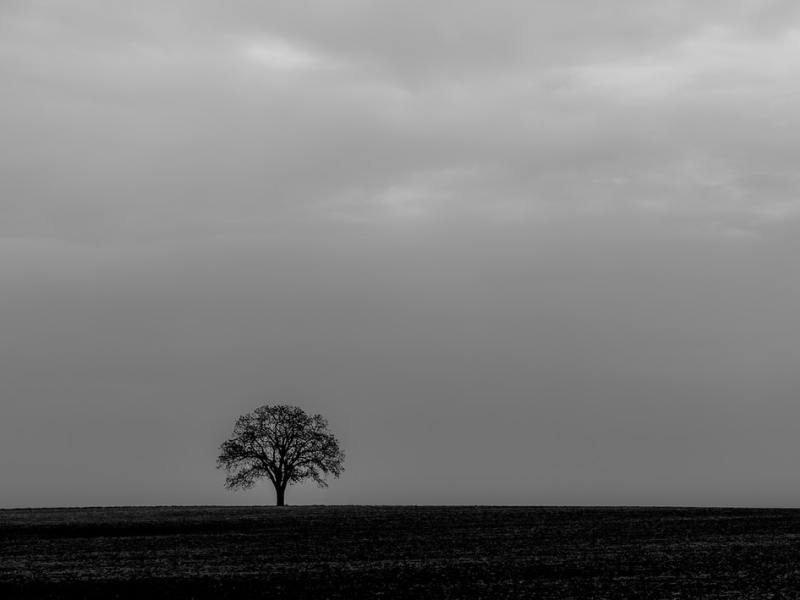 Grey Matter: Autumn and&nbsp;Winter