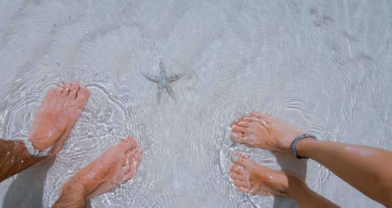 toa-heftiba-WXo5yzM9Ibw-unsplash