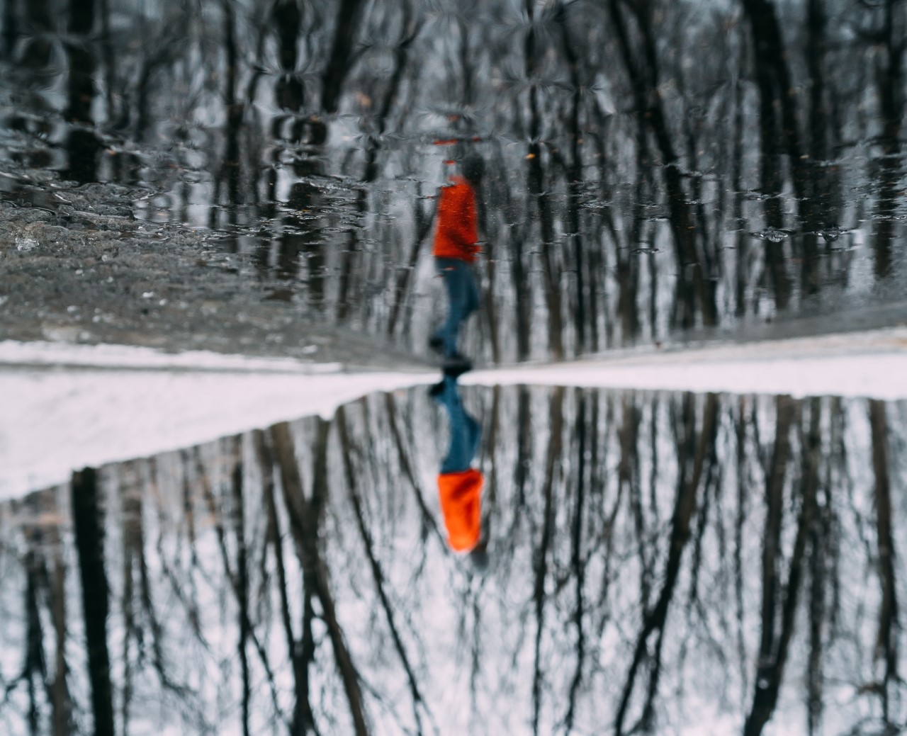 pexels-ricardo-esquivel-2061544