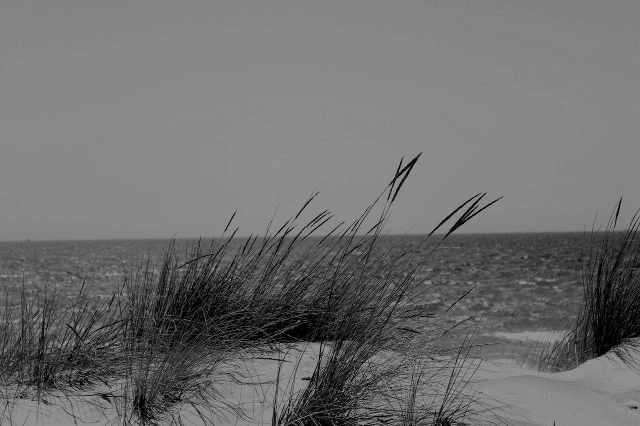 pexels-melanie-wupperman-662994