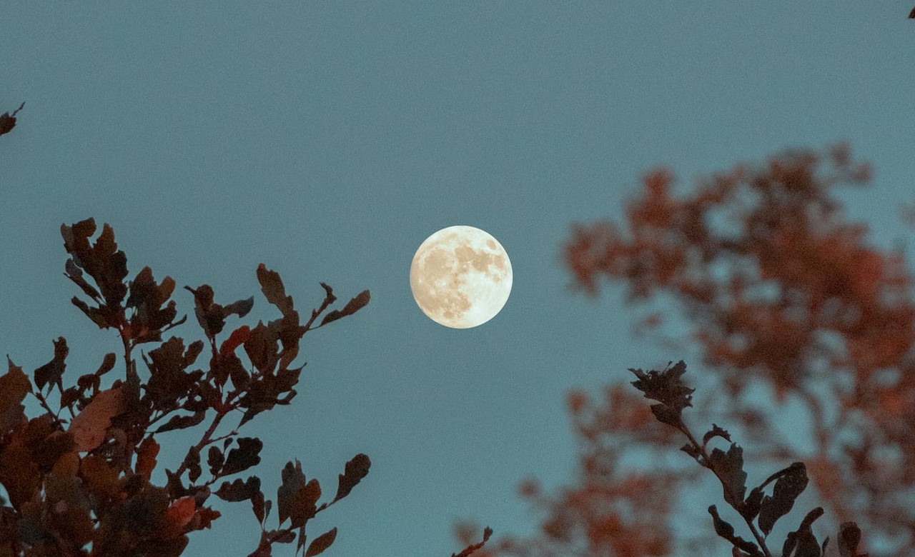 griffin-wooldridge-aFMsnhkZoJg-unsplash