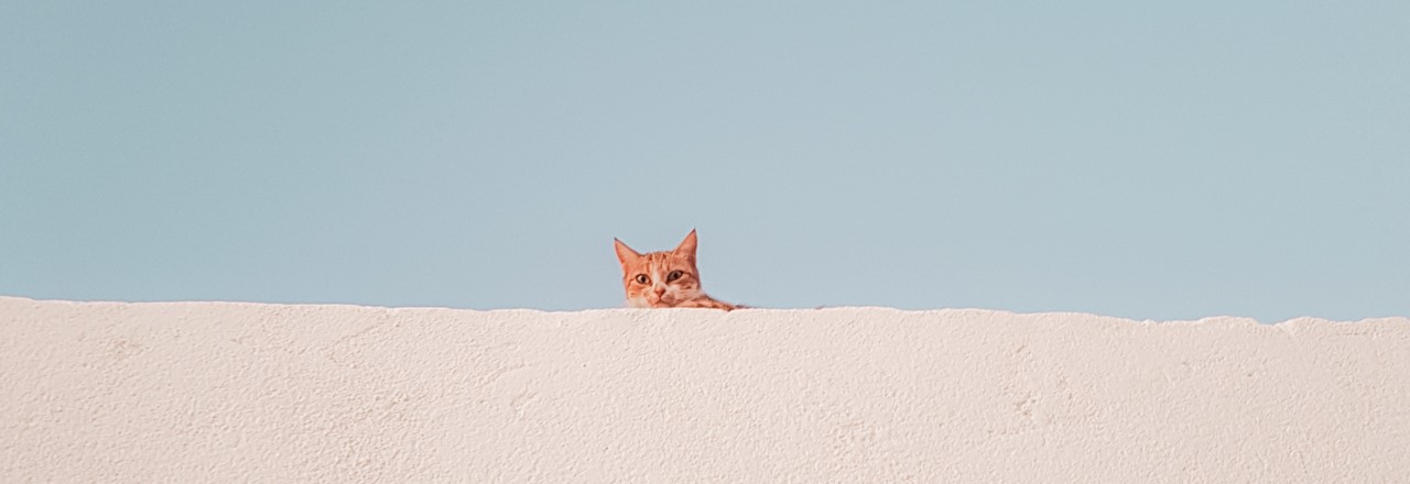 pexels-amine-mayoufi-3069334