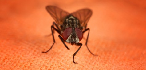 headm-ahsan-rd8SmBe0vwg-unsplash